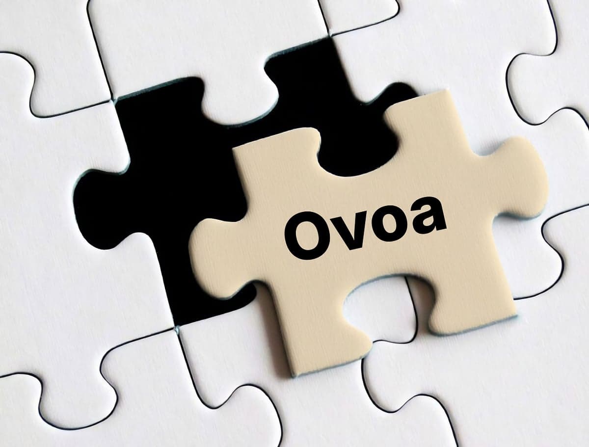 Ovoa, la pièce qui manquait à votre commerce